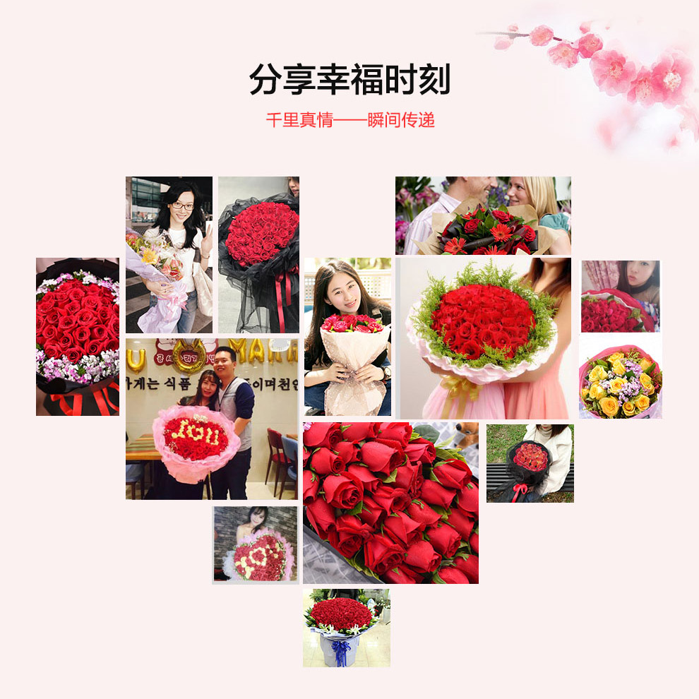 妻子过生日送鲜花送什么花